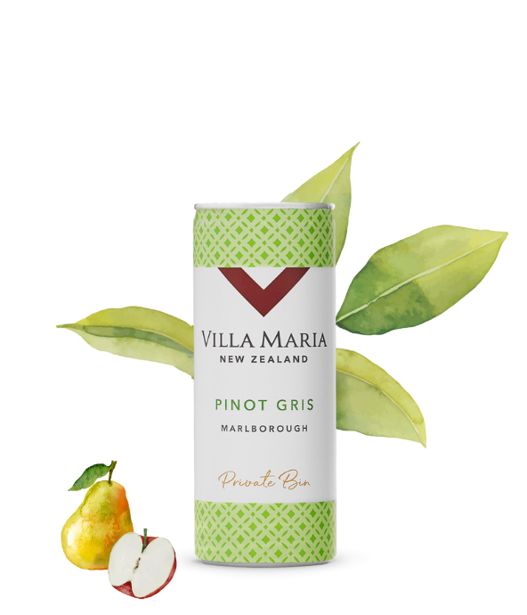 Pinot Gris Can